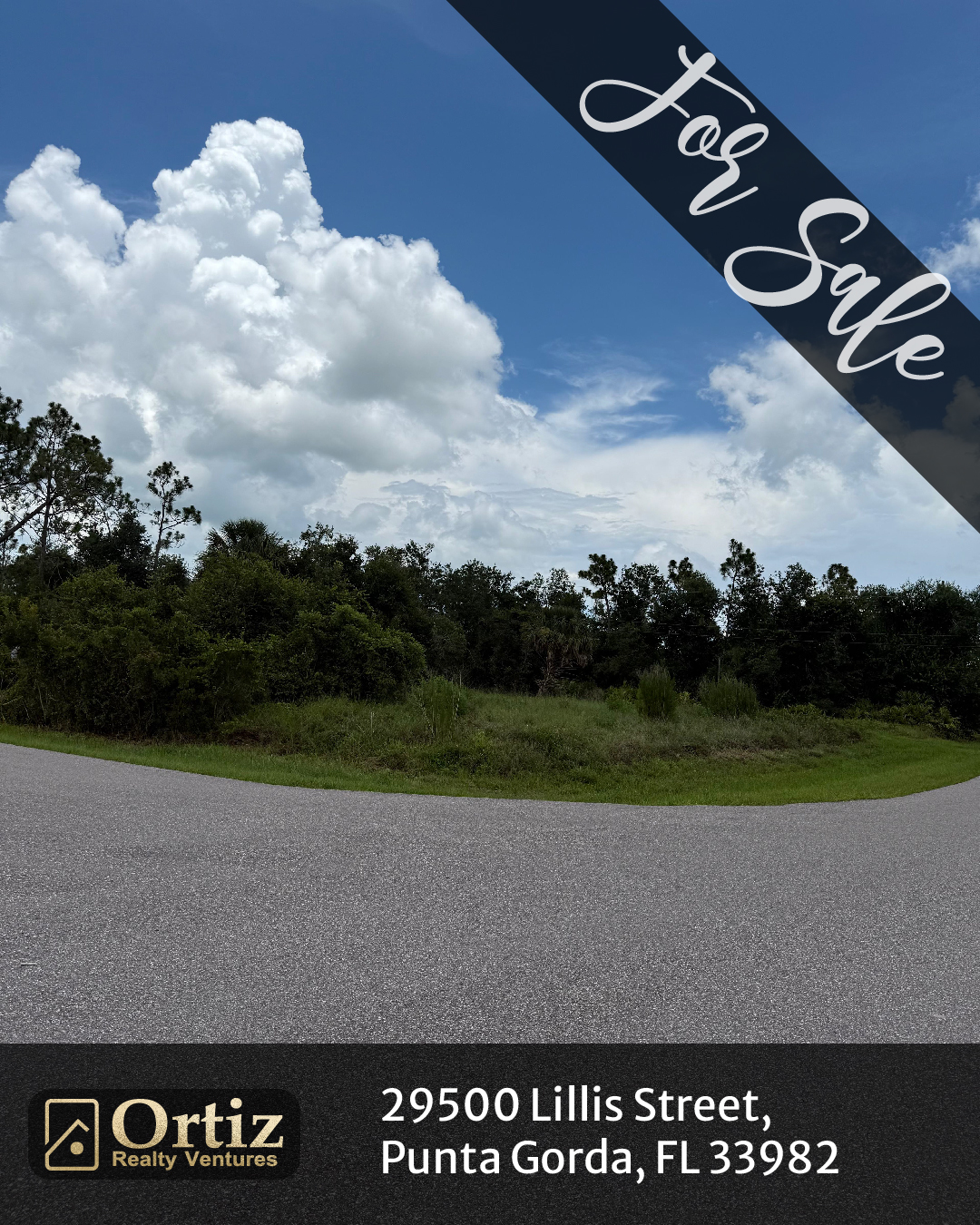 29500 lillis st, punta gorda, fl 33982 29500 lillis st, punta gorda, fl 33982