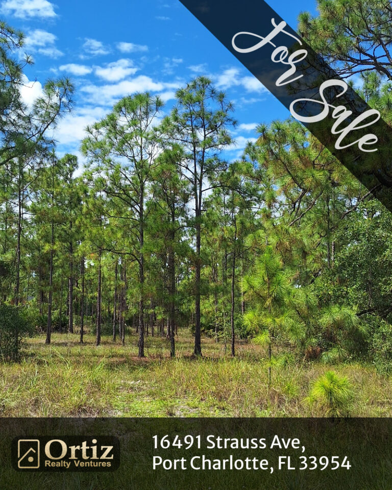 16491 strauss ave, port charlotte, fl 33954