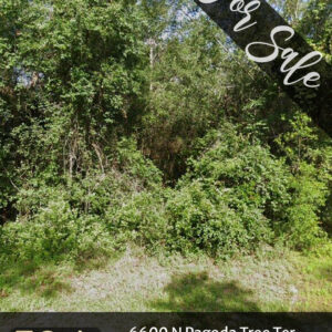 6600 n pagoda tree ter, hernando, fl 34442