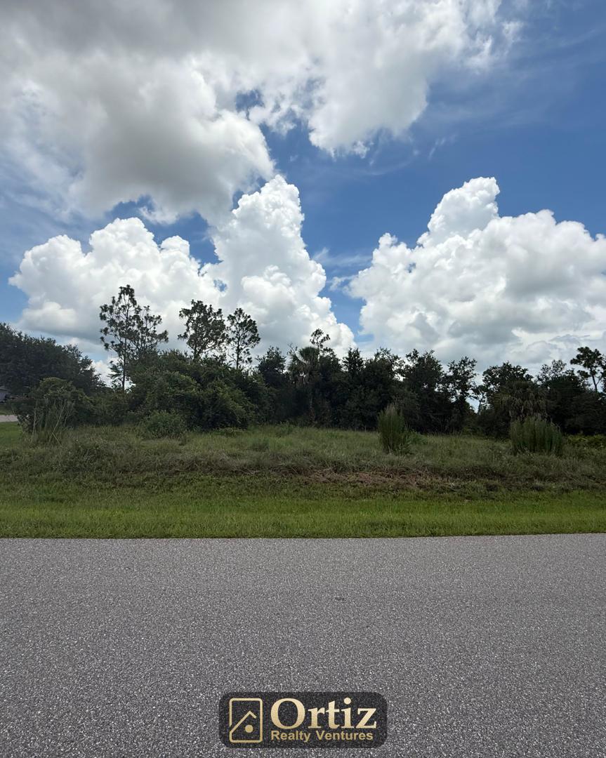 dream life, low investment: 19,259 sf lot minutes from national forest & beaches (copy) dream life, low investment: 19,259 sf lot minutes from national forest & beaches (copy)