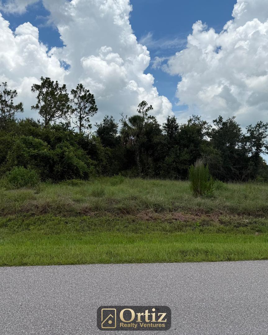 dream life, low investment: 19,259 sf lot minutes from national forest & beaches (copy) dream life, low investment: 19,259 sf lot minutes from national forest & beaches (copy)