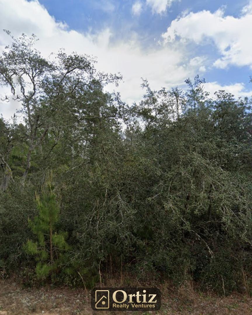 total freedom to build: flexible residential lot in interlachen, fl total freedom to build: flexible residential lot in interlachen, fl