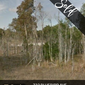 722 bluebird ave, lehigh acres, fl 33974