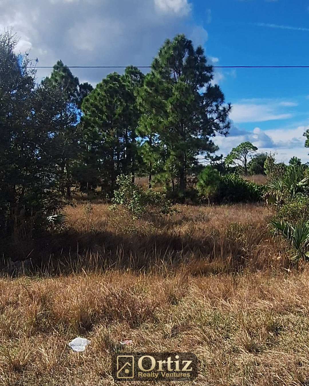 856 eisenhower blvd, lehigh acres, fl 33974 856 eisenhower blvd, lehigh acres, fl 33974