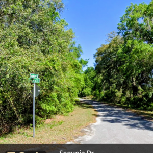 sequoia dr, belleview, fl 32179sequoia dr, belleview, fl 32179