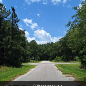 fisher lane way, belleview, fl 32179