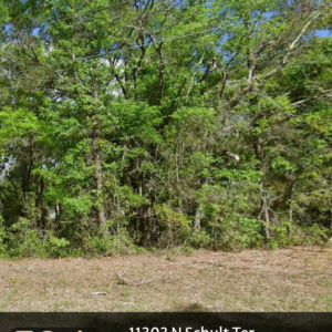 11303 n schult ter, citrus springs, fl 34434