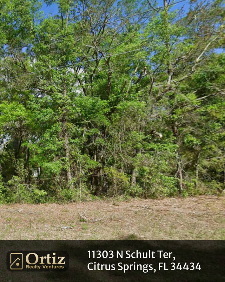 11303 n schult ter, citrus springs, fl 34434