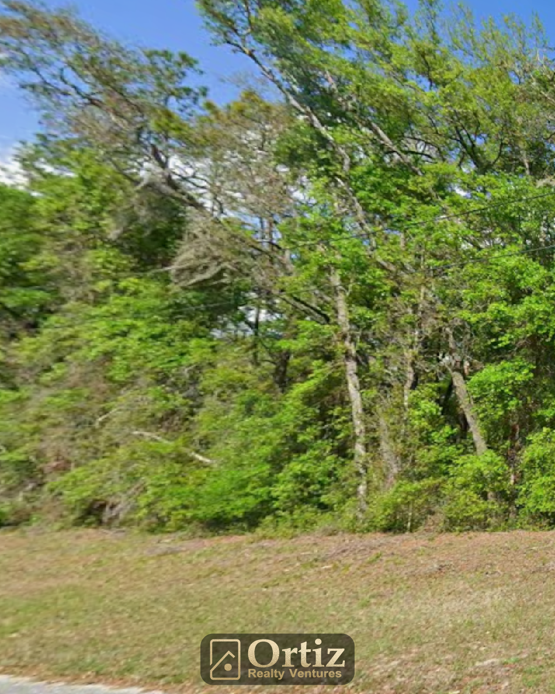 11303 n schult ter, citrus springs, fl 34434 11303 n schult ter, citrus springs, fl 34434