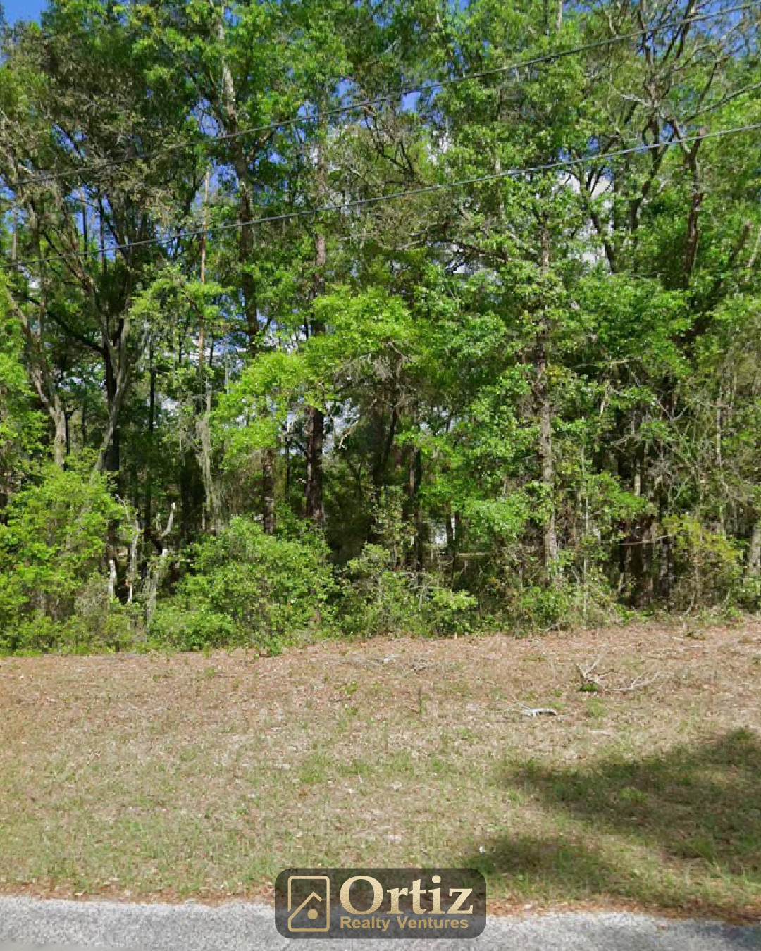 11303 n schult ter, citrus springs, fl 34434 11303 n schult ter, citrus springs, fl 34434