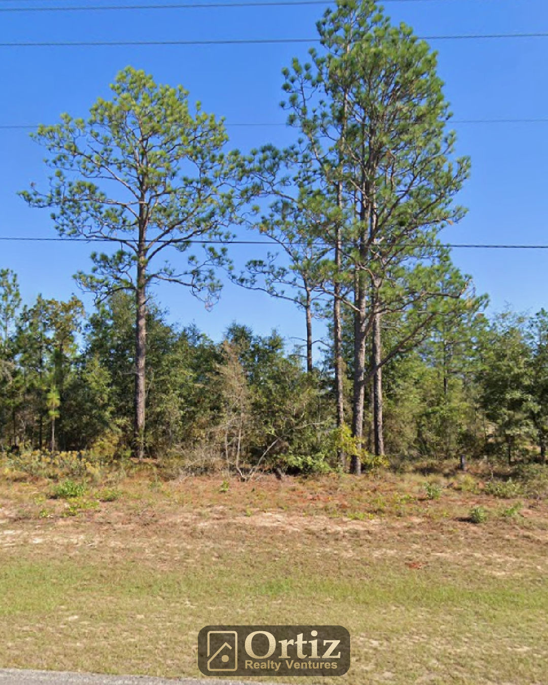 shenandoah blvd, chipley, fl 32428 (sunny hills) shenandoah blvd, chipley, fl 32428 (sunny hills)