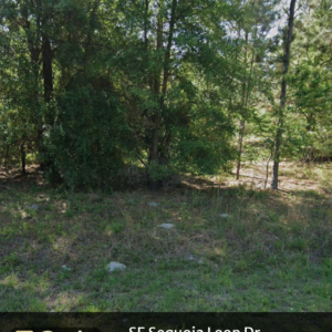se sequoia loop dr, belleview, fl 32179