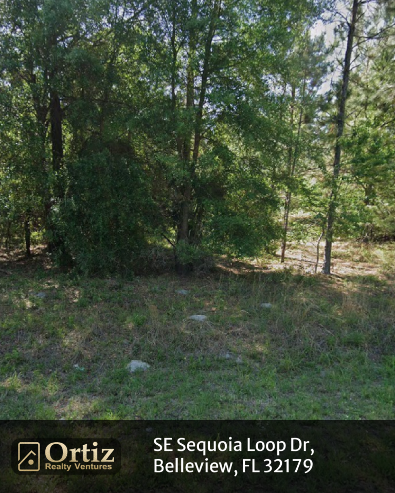 se sequoia loop dr, belleview, fl 32179