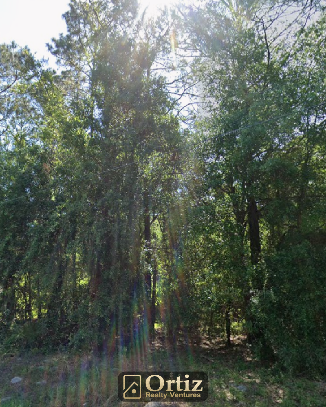 se sequoia loop dr, belleview, fl 32179 se sequoia loop dr, belleview, fl 32179