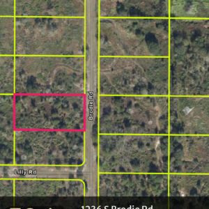 1236 s brodie rd, avon park, fl 33825