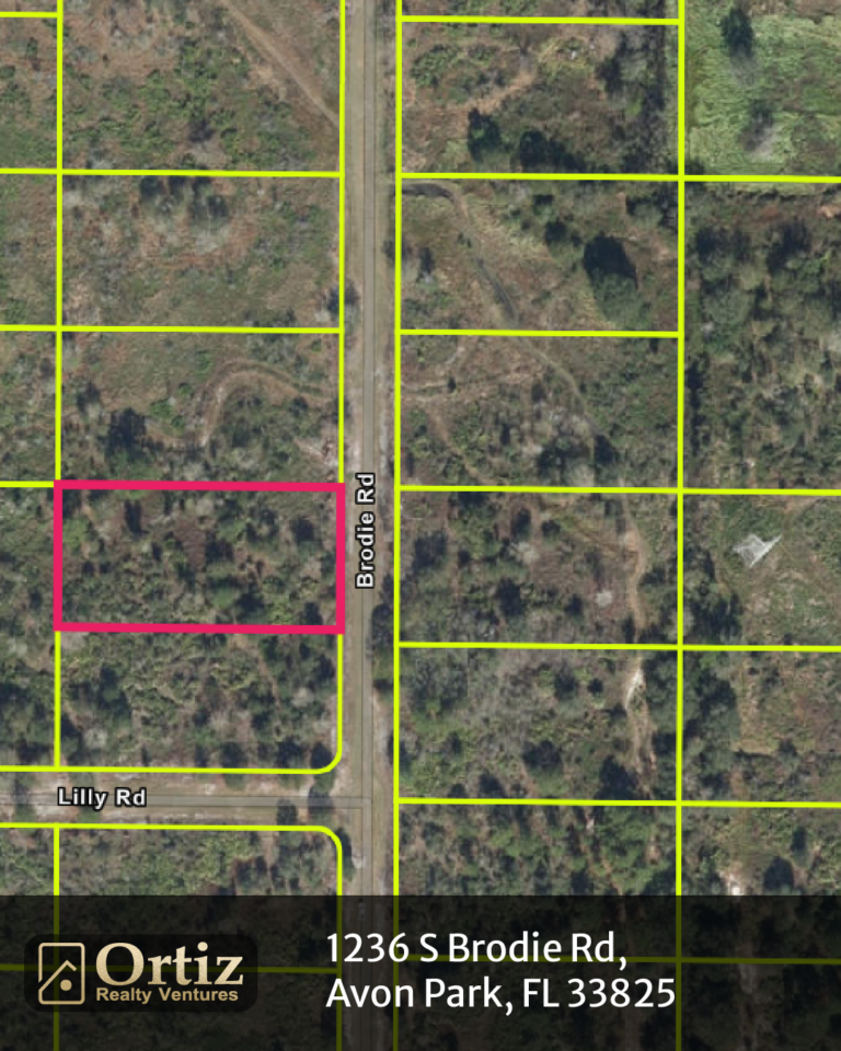 1236 s brodie rd, avon park, fl 33825